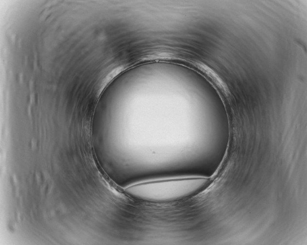 X0000095521337200712140901