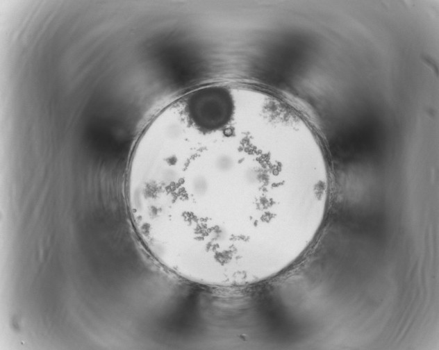 X0000095521338200712140901