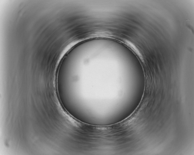 X0000095521339200712140901