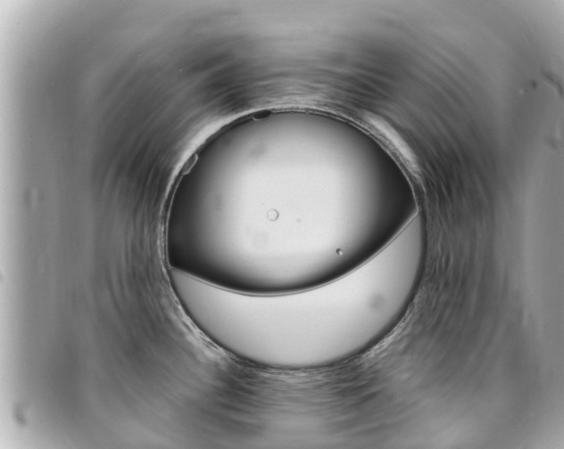 X0000095521340200712140901