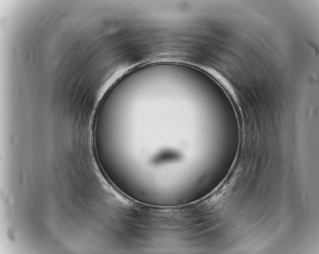 X0000095521341200712140901