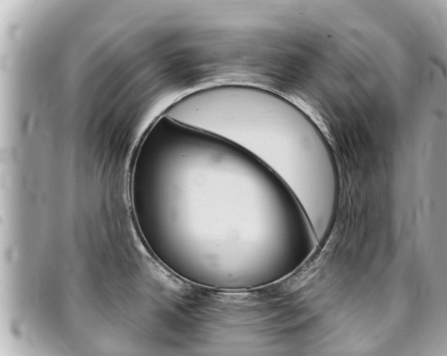 X0000095521342200712140901