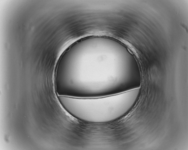 X0000095521343200712140901