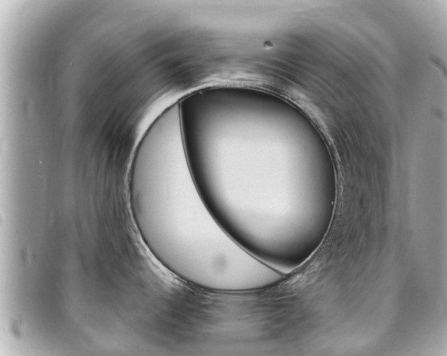 X0000095521344200712140901