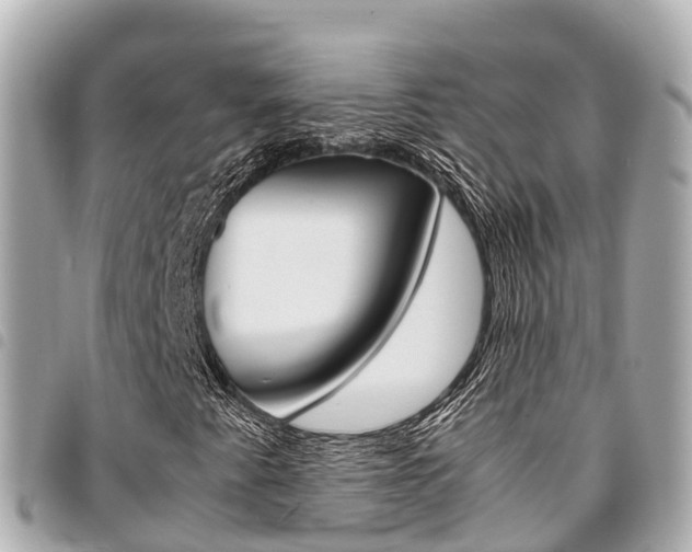 X0000095521345200712140900