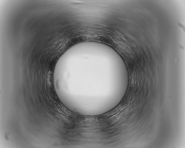 X0000095521346200712140900