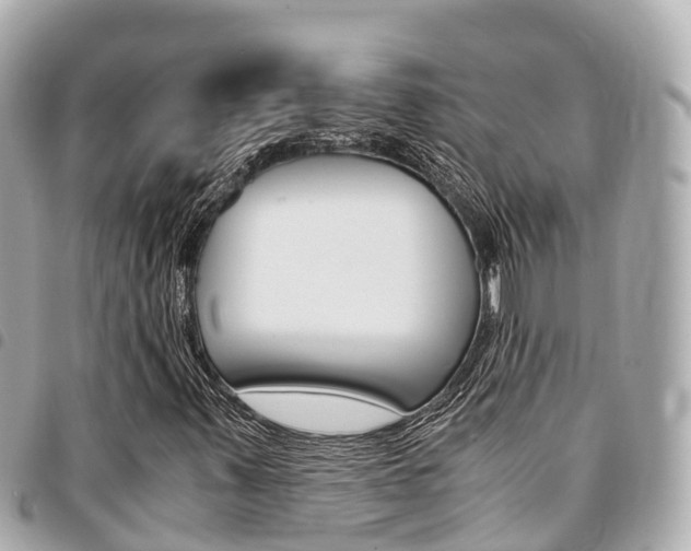 X0000095521347200712140900