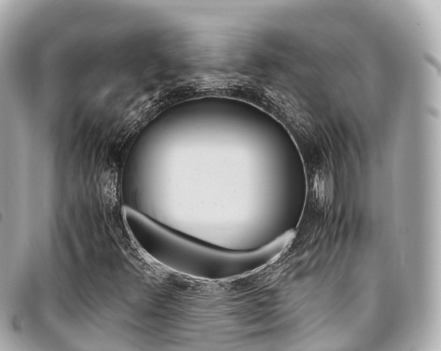 X0000095521348200712140900