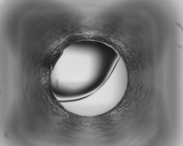 X0000095521349200712140900