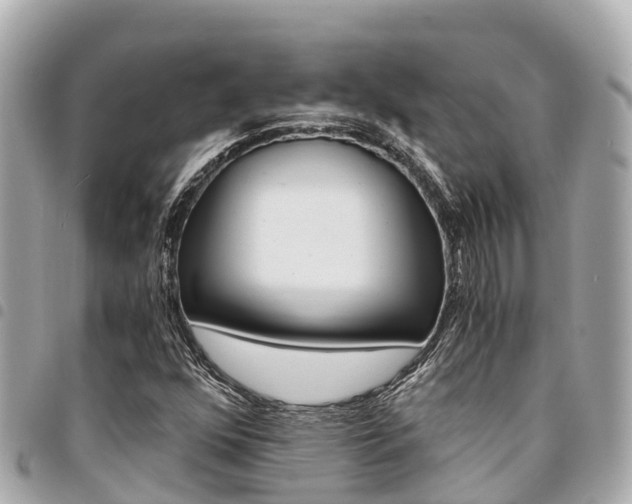 X0000095521352200712140900