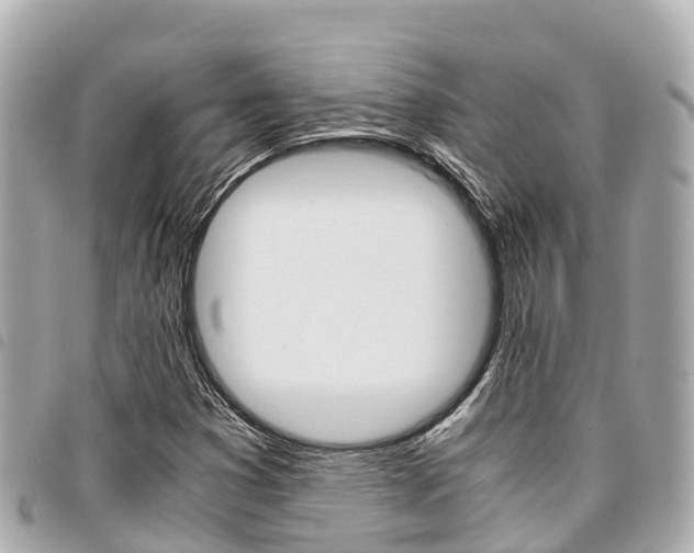 X0000095521353200712140900