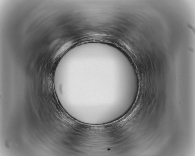 X0000095521354200712140900
