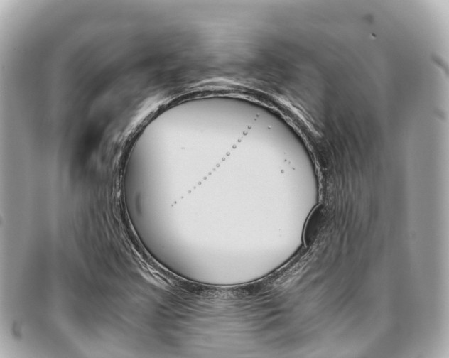 X0000095521355200712140900