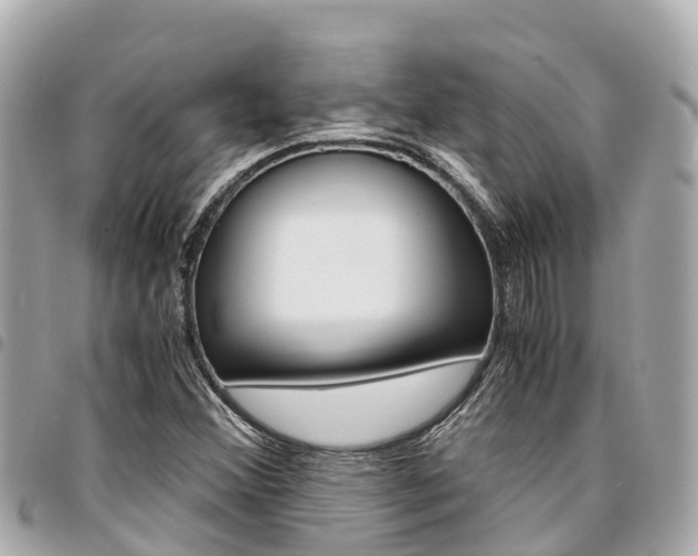 X0000095521356200712140900