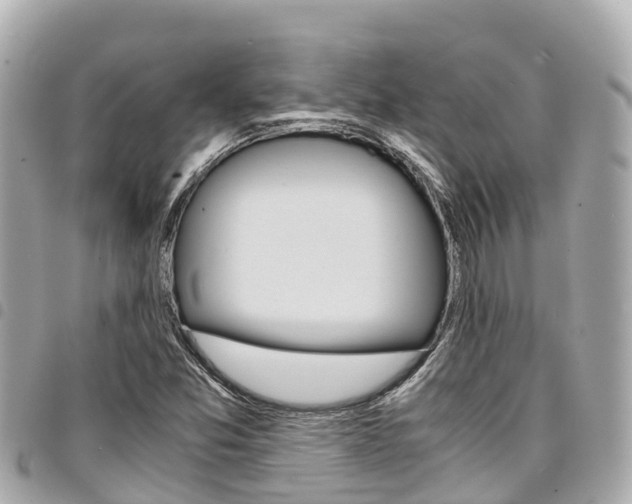 X0000095521357200712140900