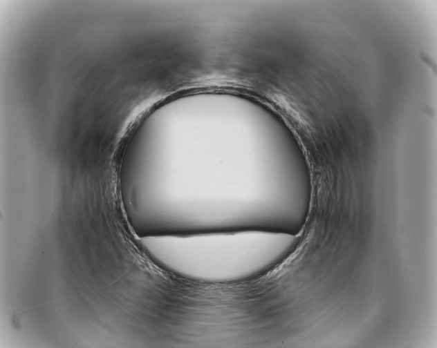 X0000095521358200712140900