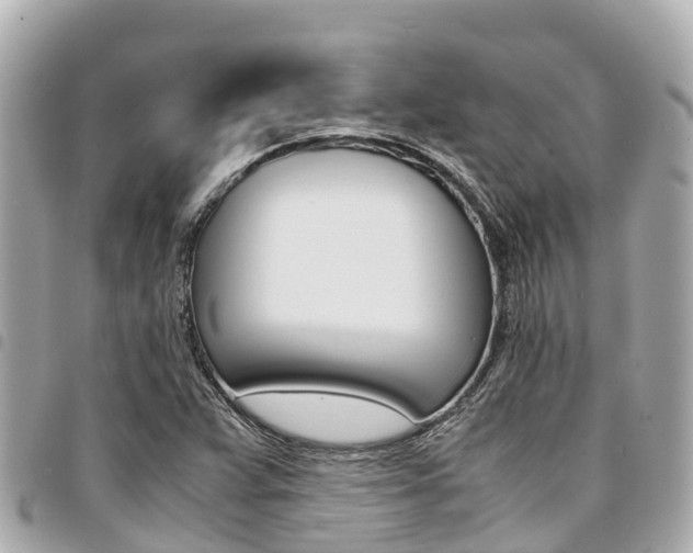X0000095521359200712140900