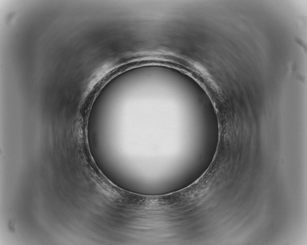 X0000095521360200712140900