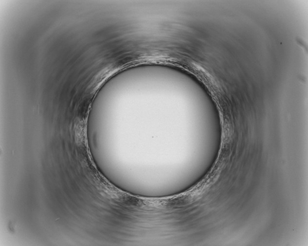 X0000095521361200712140900