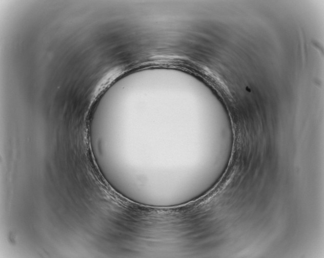 X0000095521362200712140900