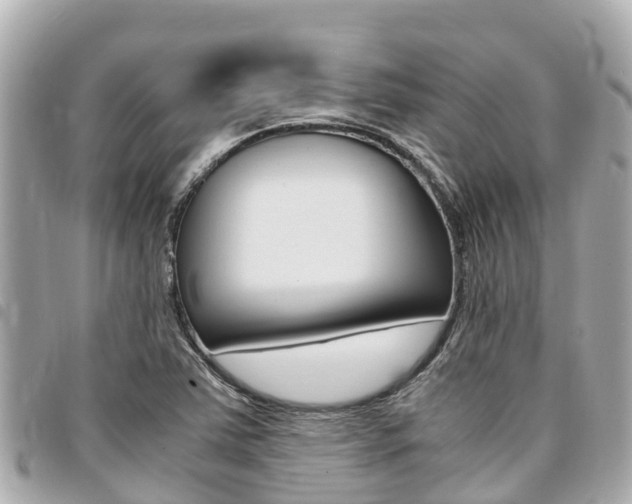 X0000095521363200712140900
