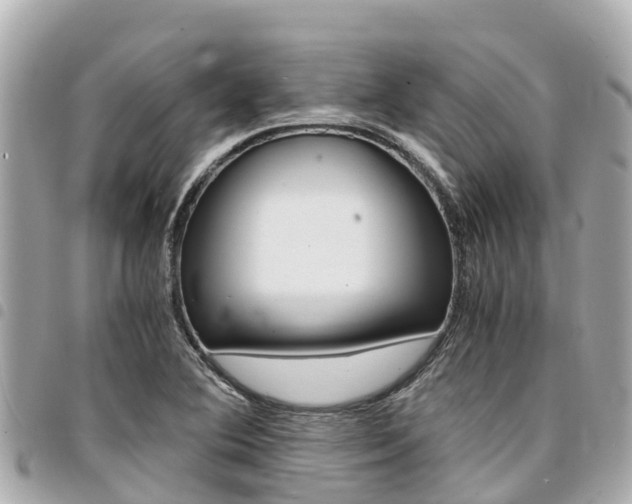 X0000095521364200712140900