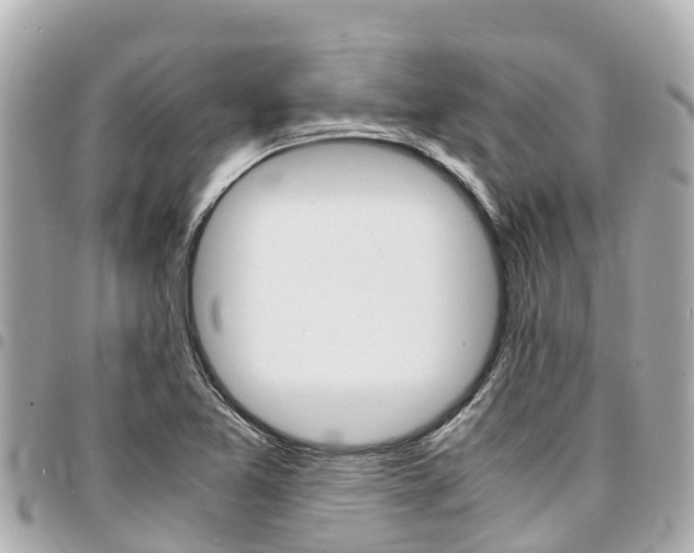 X0000095521365200712140900