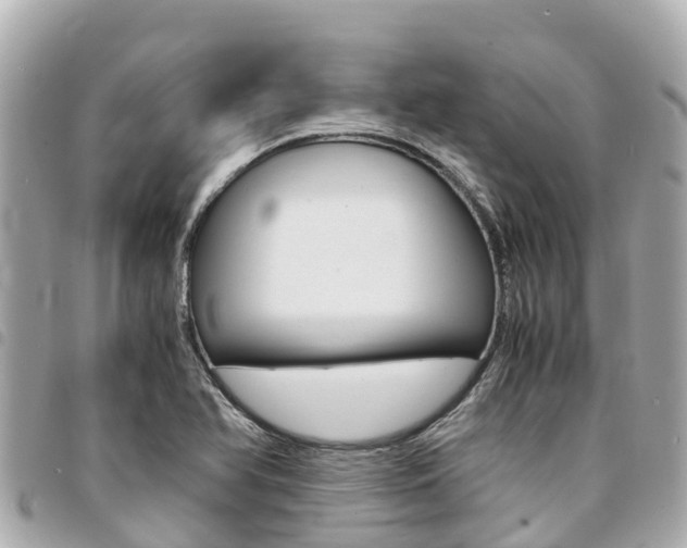 X0000095521366200712140900