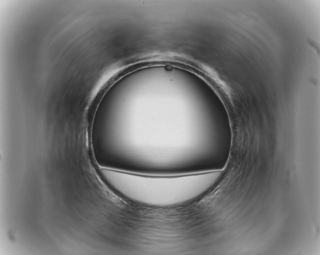 X0000095521368200712140900