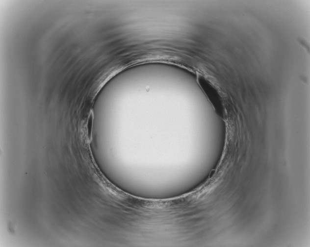 X0000095521369200712140900