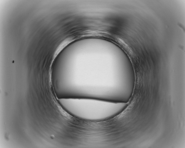 X0000095521370200712140900