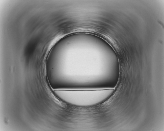X0000095521371200712140900