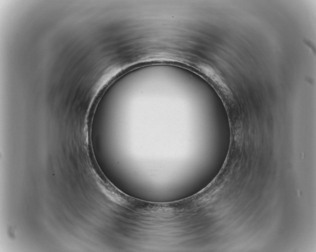 X0000095521372200712140900