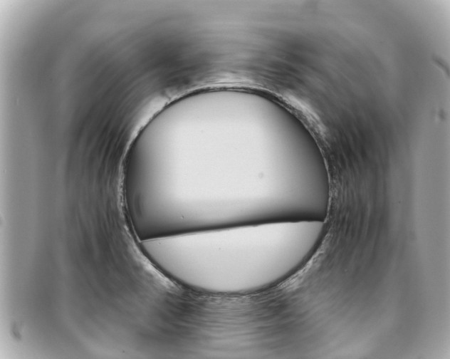 X0000095521374200712140900