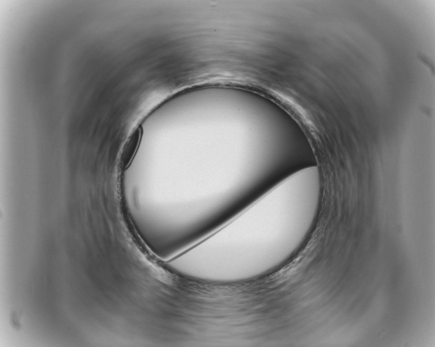 X0000095521375200712140900