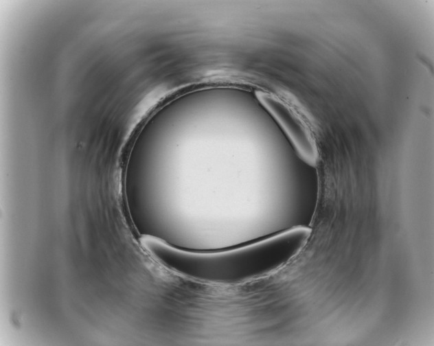 X0000095521376200712140900