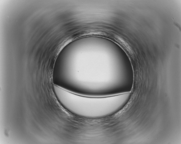 X0000095521377200712140900