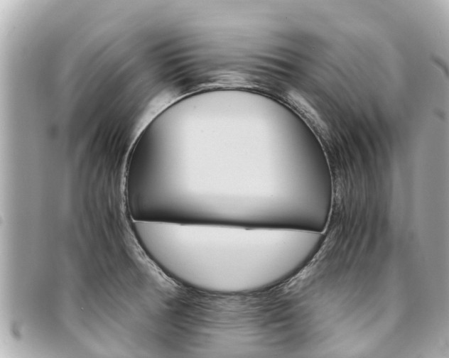 X0000095521378200712140900