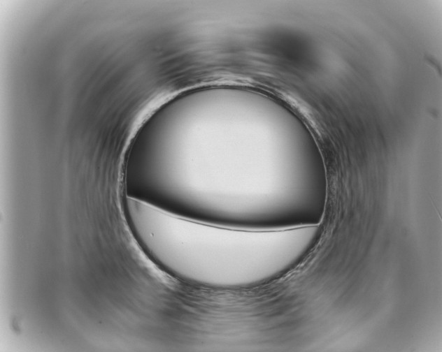 X0000095521379200712140900