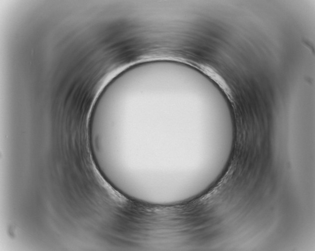 X0000095521380200712140859