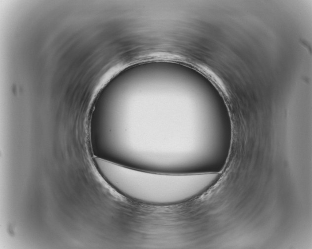 X0000095521381200712140859