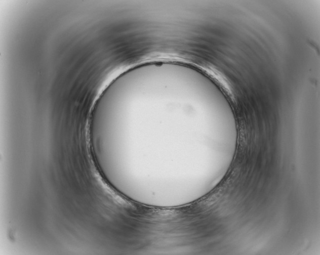 X0000095521382200712140859