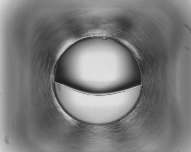 X0000095521383200712140859