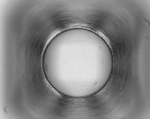 X0000095521384200712140859