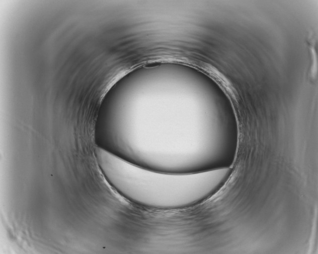 X0000095521385200712140859