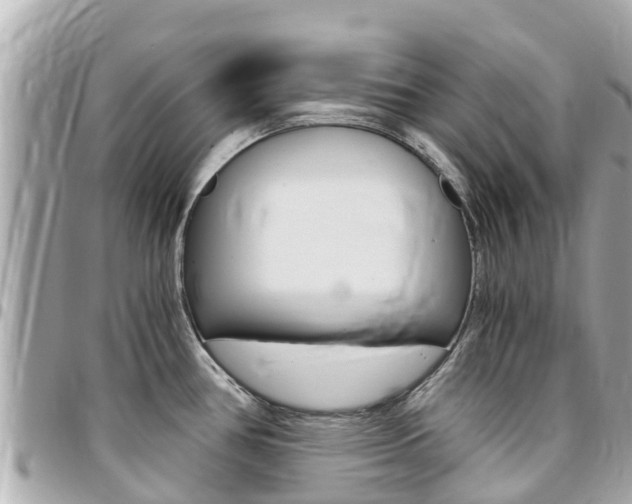 X0000095521386200712140859