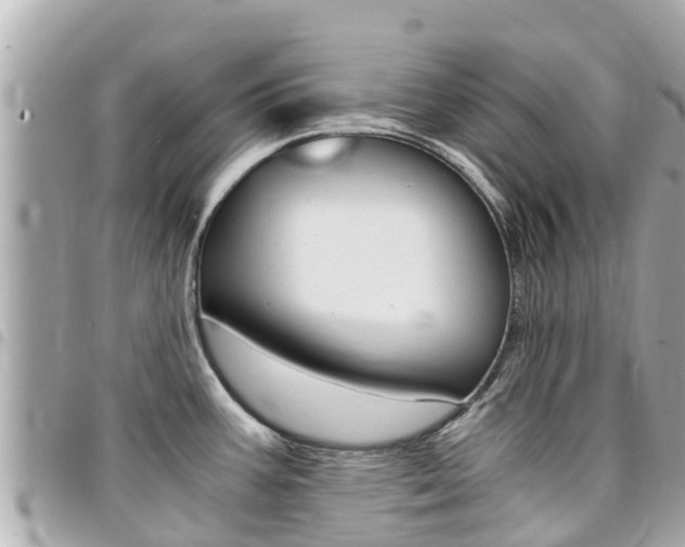 X0000095521387200712140859