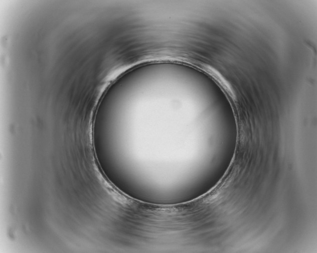 X0000095521388200712140859