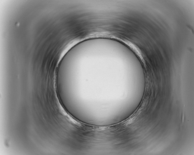 X0000095521390200712140859