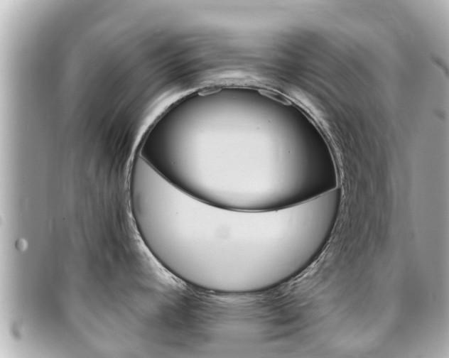 X0000095521392200712140859